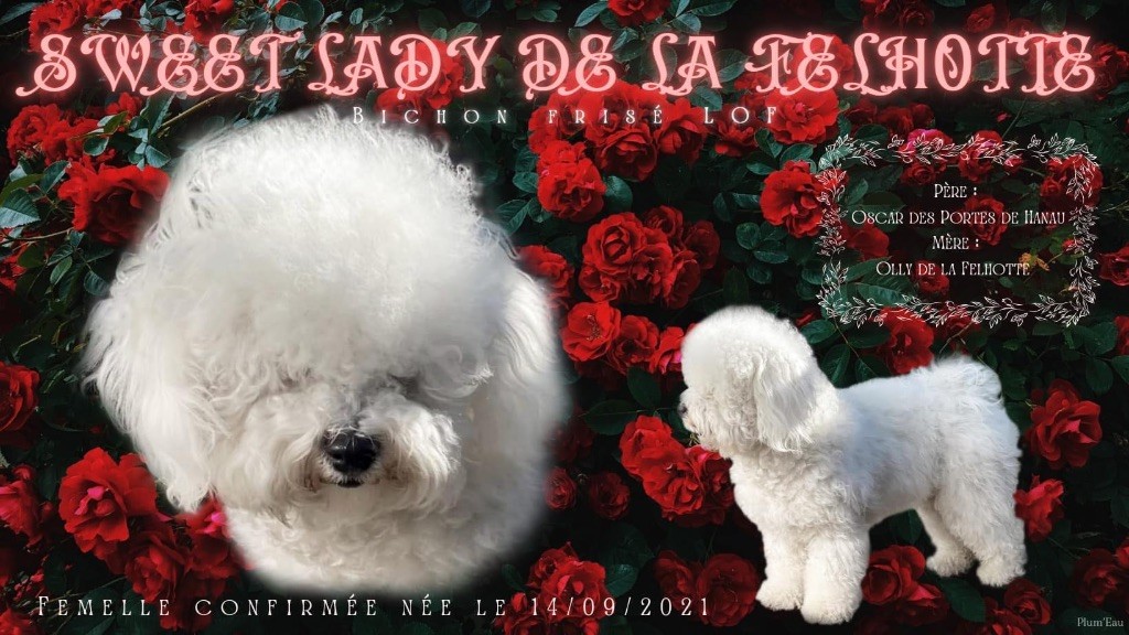 Sweet lady de la Felhotte